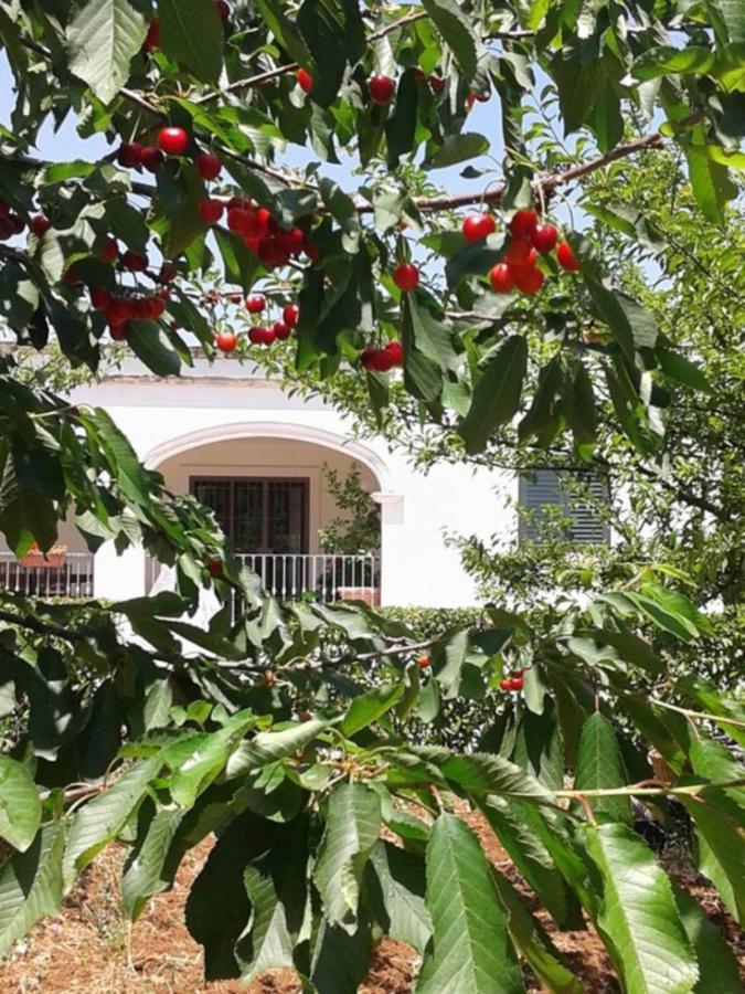 La Volpina Bed & Breakfast Martina Franca Eksteriør bilde